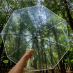 Automatic Transparent Auto Open Close Clear Umbrella with Modern Frosted - Image 2