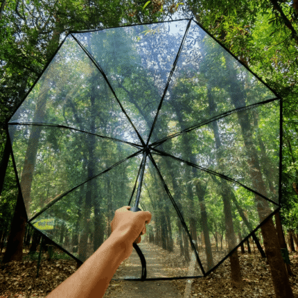 Automatic Transparent Auto Open Close Clear Umbrella with Modern Frosted